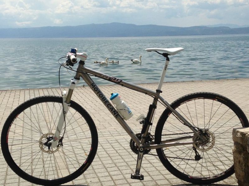 swans_motobecane_ohrid_small1.jpg