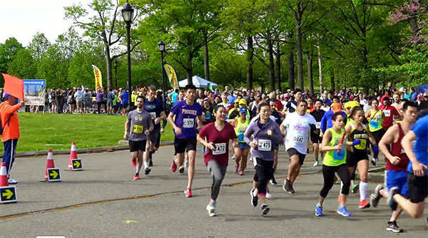 Video: Our New York races are getting more popular!