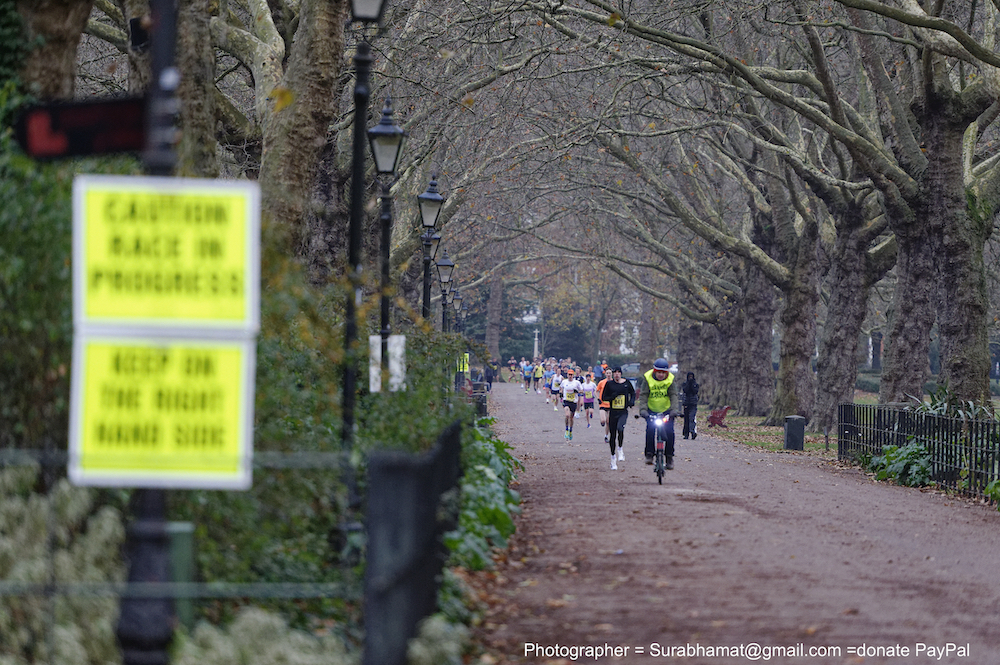 Grizzly Bear 10K
