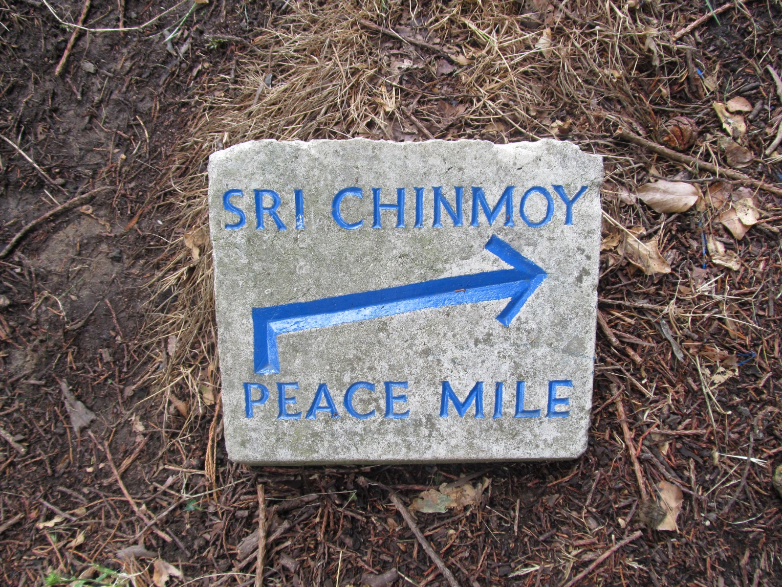 Sri Chinmoy FREE 2 Mile & 1 Mile Races, Ipswich